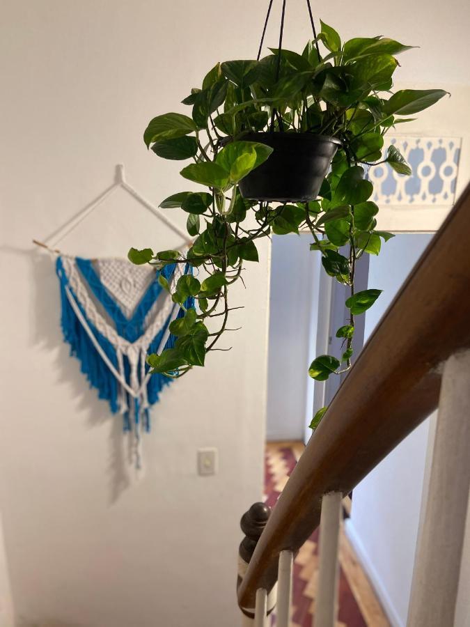 Sunflower Hostel Salvador Eksteriør billede